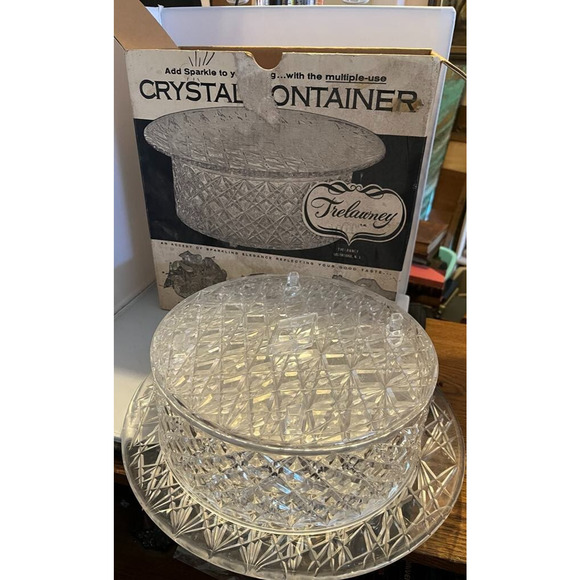 Trelawney Crystal Cut Clear Lucite Cake Keeper / Salad Bowl / Plate Vintage BOX - Picture 1 of 4